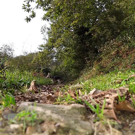 Casa Capricho Dom wakacyjny *